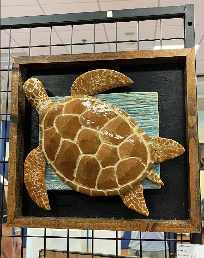 Sea+Turtle